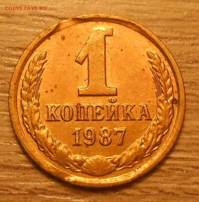 1 коп 1987 двойной выкус до 05.03.19 г. 22:00 - DSCN3352.JPG