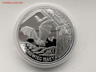 ПОЛЬША,20 злотых 2010г(Летучая мышь)до 1.03.2019г - IMG_20190227_123858_HDR