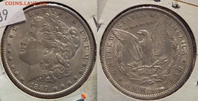 1 доллар 1889 США. Серебро до 1.03.2019 22:00 мск - imgonline-com-ua-2to1-urNNELDca1QTjOM