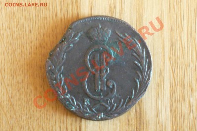 сибирка 1770 - P1010648.JPG