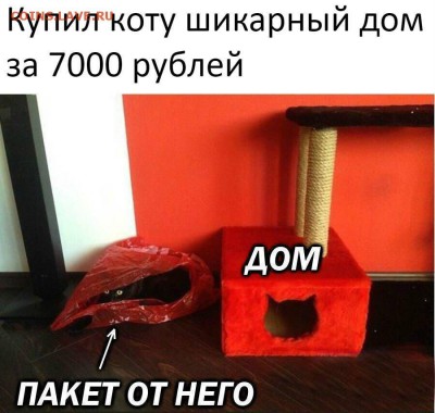делает - прямо сейчас !!! - JyozwfwW6gw