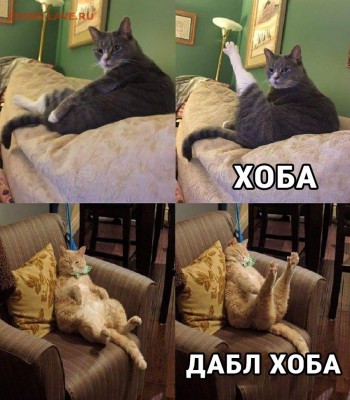 юмор - zqV2BpfXiQk
