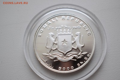 Сомали,5000 шиллингов 1998 с 1200 ₽ до 3.03.19 22.00 МСК - DSC_0165.JPG