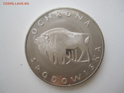 Польша,100 злотых 1977(зубр) с 1300 ₽ до 3.03.19 22.00МСК - IMG_3918.JPG