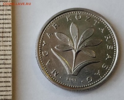 ВЕНГРИЯ 2 форинта 2001 (флора) до 5.03.19 - IMG_20190218_172158