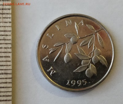 ХОРВАТИЯ 20 липа 1995 (флора) до 5.03.19 - IMG_20190218_173210