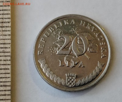 ХОРВАТИЯ 20 липа 1995 (флора) до 5.03.19 - IMG_20190218_173201