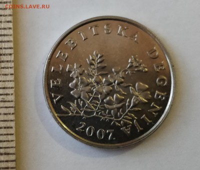 ХОРВАТИЯ 50 липа 2007 (флора) до 5.03.19 - IMG_20190218_173243