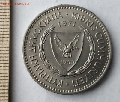КИПР 100 милей 1971 (фауна) до 5.03.19 - IMG_20190227_153244