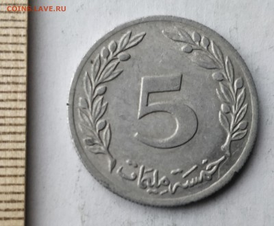 ТУНИС 5 миллимов 1983 (флора) до 5.03.19 - IMG_20190227_160215