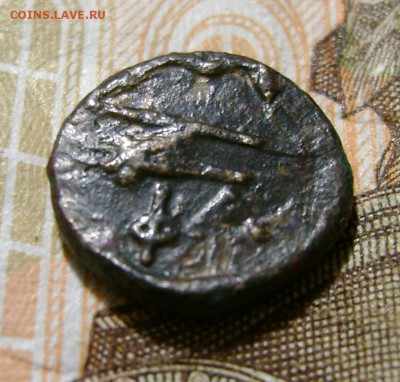 Тетрахалк.Фанагория.до 05.03.19г.в 22.00.мск - DSC05150.JPG