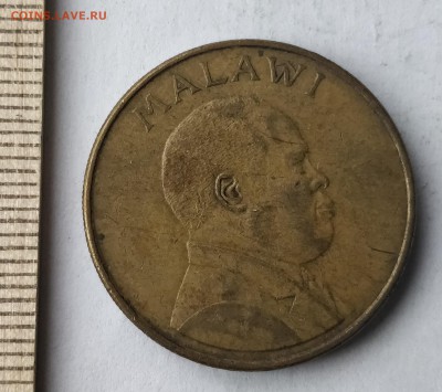 МАЛАВИ 1 квача 1996 (фауна) до 5.03.19 - IMG_20190227_160341