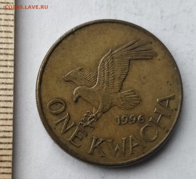 МАЛАВИ 1 квача 1996 (фауна) до 5.03.19 - IMG_20190227_160332