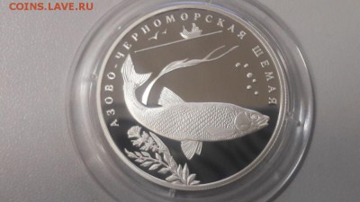 2р 2008г Шемая- пруф серебро Ag925, до 07.03 - Y Шемая-1