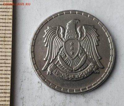 СИРИЯ 50 пиастров 1968 - ١٩٦٨ до 5.03.19 - IMG_20190227_162151