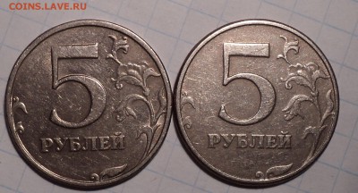 РАЗНОВИДНОСТИ  от  СЛФ - DSC04711.JPG