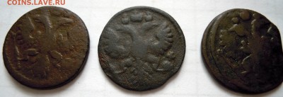 полушки 1735, 1736г.г. - DSCN8458.JPG