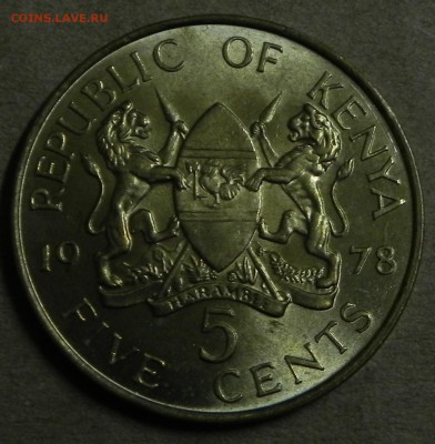 Кения 5 центов 1978 гдо 06.03.2019 г.в 22:00 МСК - DSCN0653.JPG