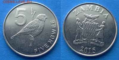 Замбия - 5 нгве 2015 года до 9.03 - Замбия 5 нгве 2015