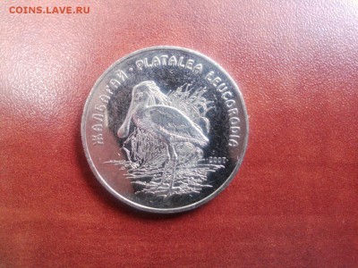 06.03 Серия красная Книга Колпица 50 ТЕНГЕ - Колпица (1)