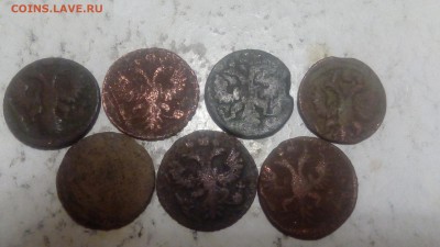 7 полушек 1731-35гг до 09.03.2019 - IMG_20190304_213229