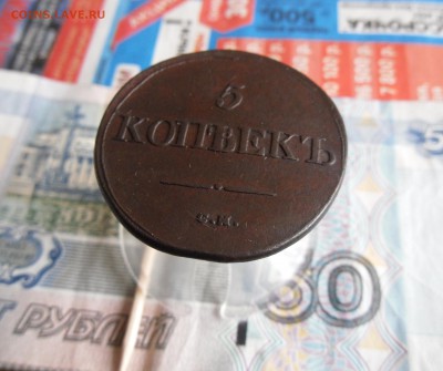 5 копеек 1831 СМ до 10.03.19г 23.00 МСК - 23