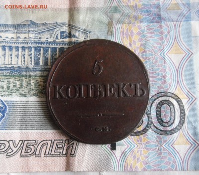 5 копеек 1831 СМ до 10.03.19г 23.00 МСК - 20