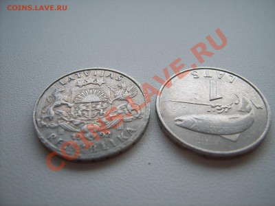 Рукоблудные ли латы? - SUC53697.JPG