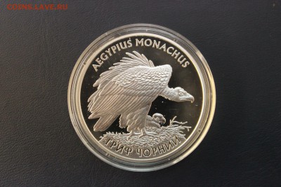 Украина 10 гривен, 2008 год. Гриф черный - IMG_5443.JPG