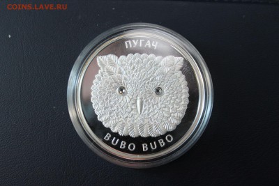 Беларусь 20 рублей, 2010 год. Филин. Бубо Бубо - IMG_5447.JPG