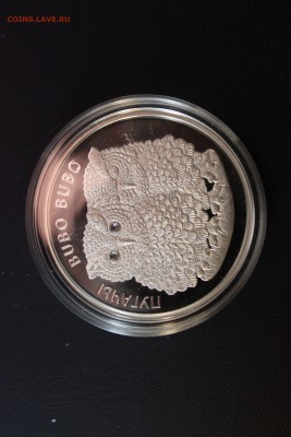 Беларусь 20 рублей, 2010 год. Филины. Бубо Бубо - IMG_5449.JPG
