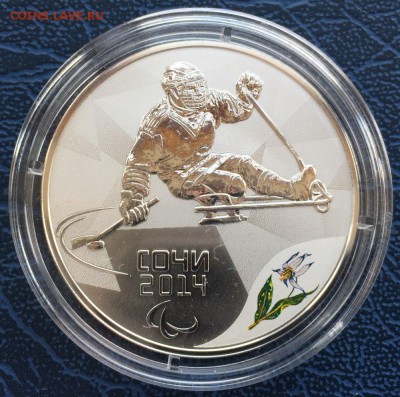 3 рубля Сочи Следж Хоккей с 200 до 10.03 - IMG_1164.JPG