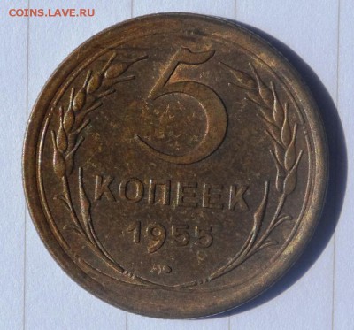 5 копеек 1955 года до 10.03.2019 в 22:00 - SAM_0801.JPG