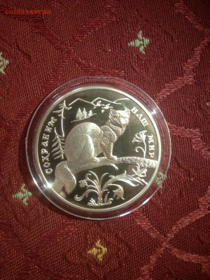 3 руб. Соболь. Сохраним наш мир 1994г до 14.03 - 977- iEQEJKYByR4  (9)