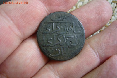 Копейка крымская шахин гирея - оценка - P2080005.JPG
