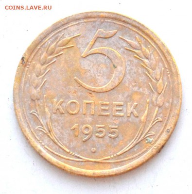 5 копеек 1955 года до 22.00 МСК 17.03.2019 года - DSC_2383.JPG