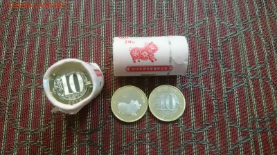  КАБАН - 2019 год - Свинья ролл