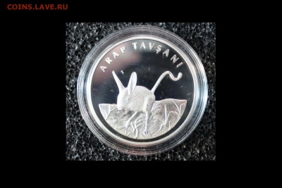 Турция. 20 лир.  Arap Tavzani - IMG_5459.JPG