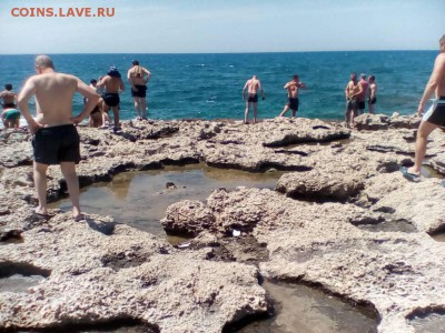 монеты ИГИЛ ? - IMG-20180518-WA0007