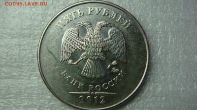 Вопросы по разновиднстям от сахарок - DSC08331.JPG
