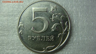 Вопросы по разновиднстям от сахарок - DSC08330.JPG