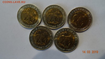 50 рублей 1993 год красная книга медведь 5шт до 18.03 - DSC03116.JPG