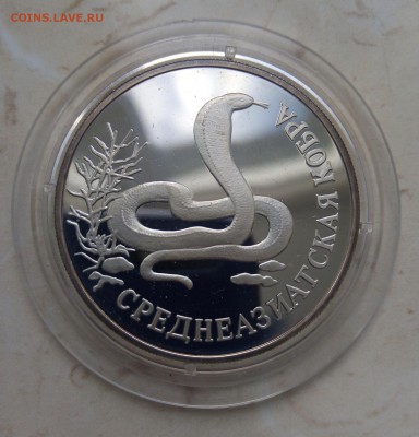 1 рубль СРЕДНЕАЗИАТСКАЯ КОБРА  до 17.03.2019. - IMG_20190314_155022