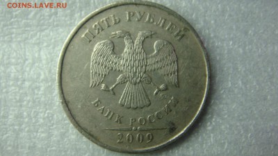 Вопросы по разновиднстям от сахарок - DSC08340.JPG