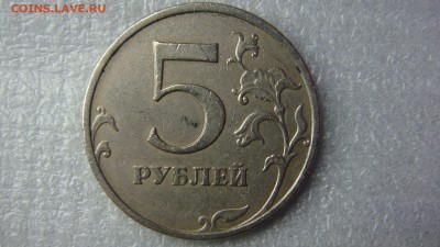 Вопросы по разновиднстям от сахарок - DSC08339.JPG