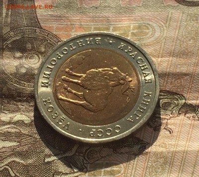 5 рублей 1991г. К.К. Винторогий козел. без оборота - IMG_0922.JPG