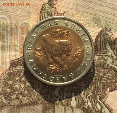 10 рублей 1992г. К.К. Тигр. без оборота до 18.03.19 - IMG_0936.JPG