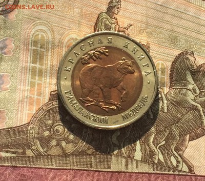 50 рублей 1993г. К.К. Медведь. без оборота до 18.03.19 - IMG_0938.JPG