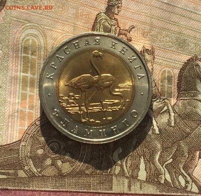 50 рублей 1994г. К.К. Фламинго. без оборота до 18.03.19 - IMG_0965.JPG