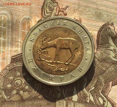 50 рублей 1994г. К.К. Джейран. без оборота до 18.03.19 - IMG_0971.JPG